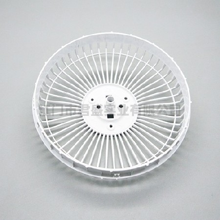 Plastic fan